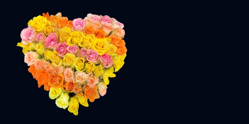 orange color, flower, indoors, 4K, flower arrangement, black background, cut out, vulnerability, heart, close-up, mothers day, colorful, greeting card