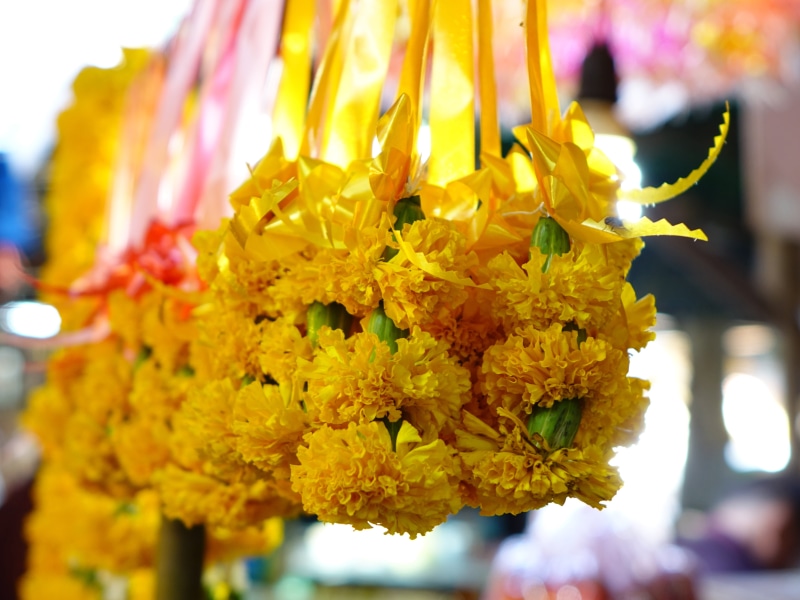 bouquet, bunch of flowers, fragility, beauty in nature, prayer, flowering plant, belief, religion, freshness, jasmine, petal, sampaguita flowers, flower arrangement