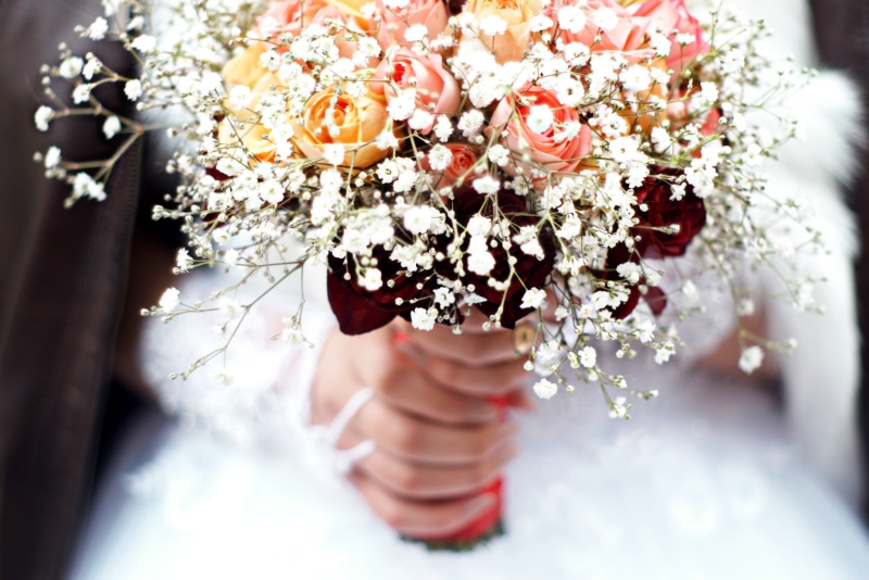 colors, selective focus, one person, fashion, blossom, nature, groom, beauty in nature, wedding, adult, floral garland, white, bride, dress, person, hand