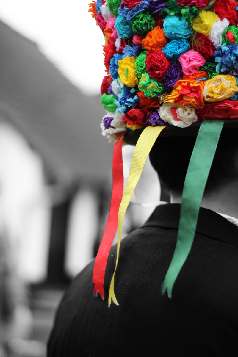 ružičky, leisure activity, 2K, adult, flowers, white, blue, multi Colored, blade, unrecognizable person, lights, cultures, flowering plant, traditional dancing