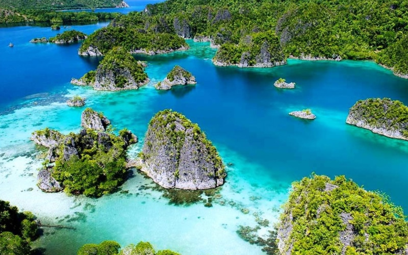 vegetation, green, 1080P, hd, blue, islands, contrast, high, raja, forest, ampat, clear, transparent, ocean, tropical, water, indonesia