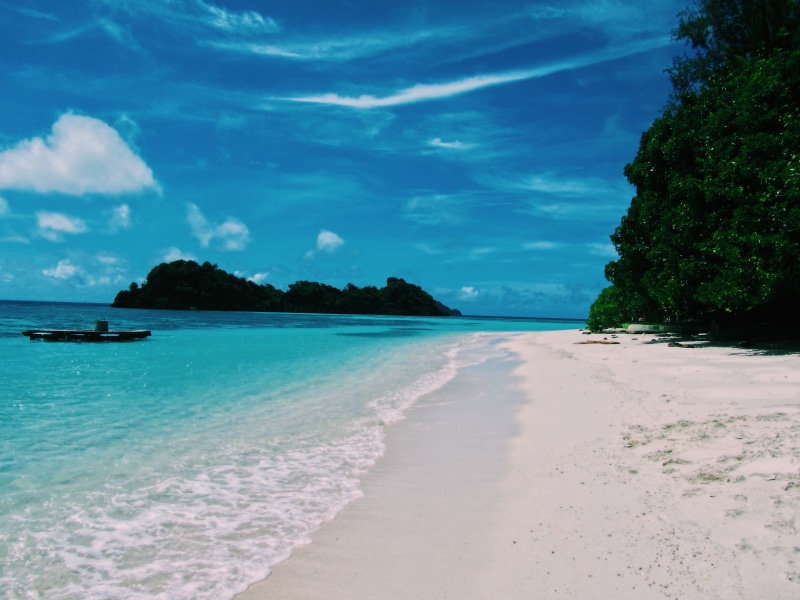 beauty in nature, turquoise colored, tranquility, idyllic, day, sand, outdoors, indonesia, sun, scenics - nature, raja ampat regency, beach, plant, nature