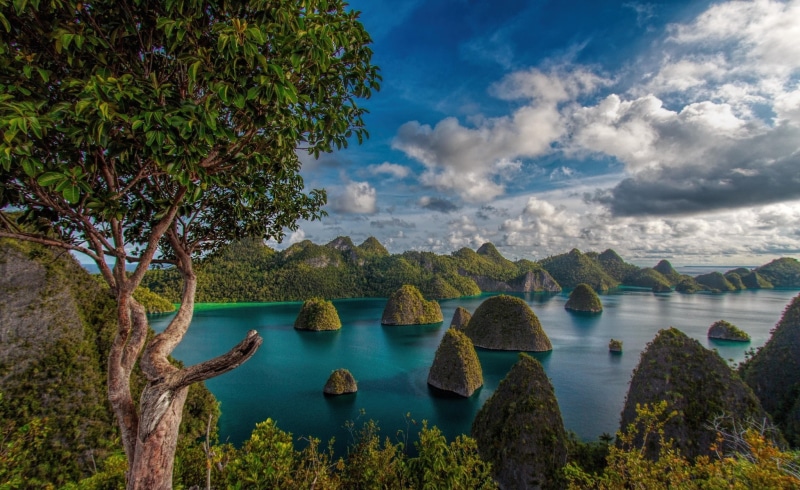 Trees, beauty in nature, lagoon, Raja Ampat, Turquoise, outdoors, turquoise colored, mountain, scenics - nature, forest, white, blue, nature, non-urban scene