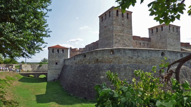 tourism, 1080P, day, bulgaria, baba vida, vidin, castle, travel destinations, building exterior, travel, plant, grass, no people, the past, tree, nature
