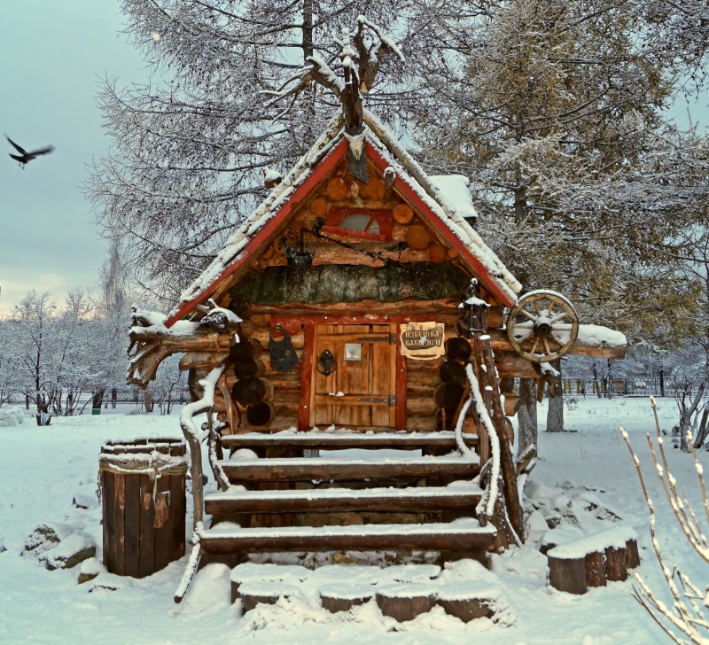 brown, story, plant, spruce, winter, tree, wink, architecture, cottage, teremok, carnival, theme, forest, baba yaga, field, season, wood - material, coldsnap