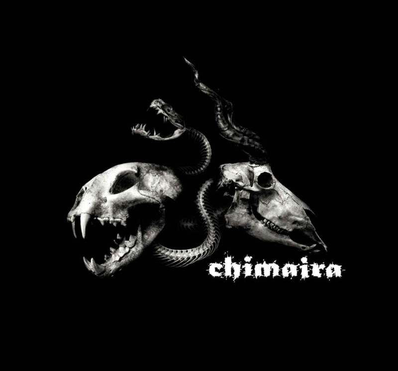 chimaira, heavy, metal, occult, poster, metalcore, groove, nu metal, dark, 720P