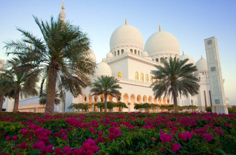 religion, travel, plant, no people, 1080P, flowering plant, Flower, building, Sheikh Zayed Grand Mosque, tropical climate, Mosques, Abu Dhabi, growth