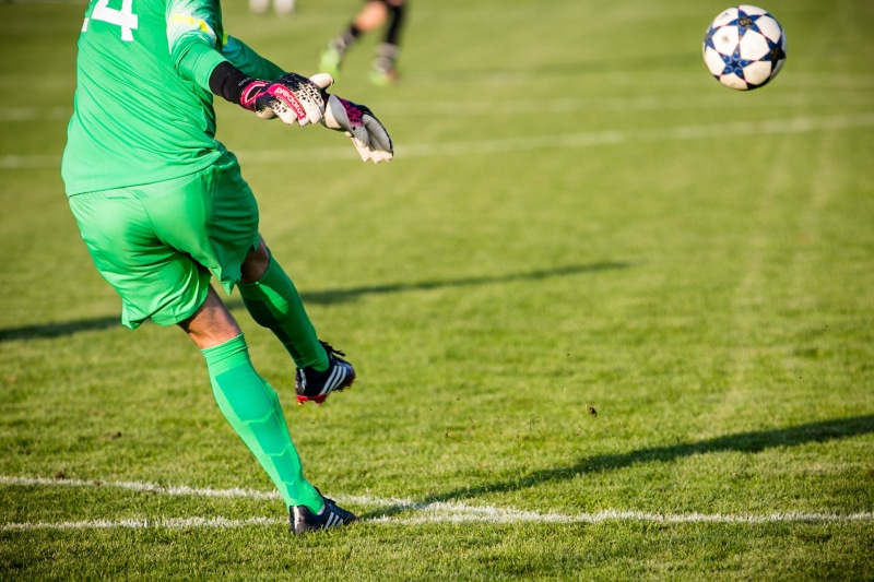 effort, duel, goal, footballers, rush, soccer, playing, green color, committee, wearing, kicker, playing Field, competitive Sport, plant, keeper, goalkeeper
