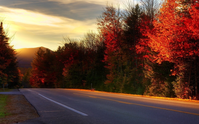 autumn, 1080P, kancamagus, new Hampshire, road, highway, kancamagus Highway, art, heavenly, Trees, nature, hd