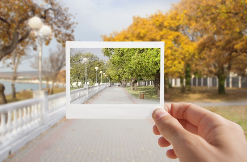 fall, urban Scene, film, season, day, backgrounds, plant, sky, nature, park - Man Made Space, trees, perspective, force, picture frames, technology, photography