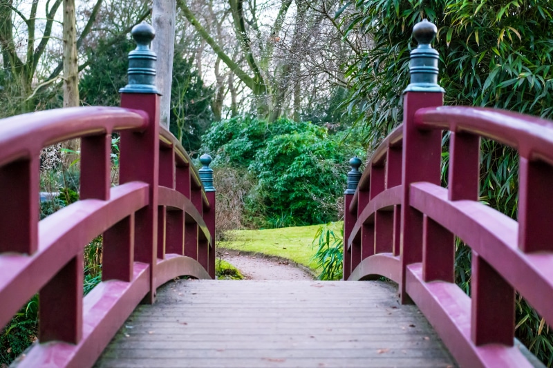 no People, first, the way forward, arch, connection, green Color, photography, wood - Material, boardwalk, day, garden, person, tree, plant, grass, footpath