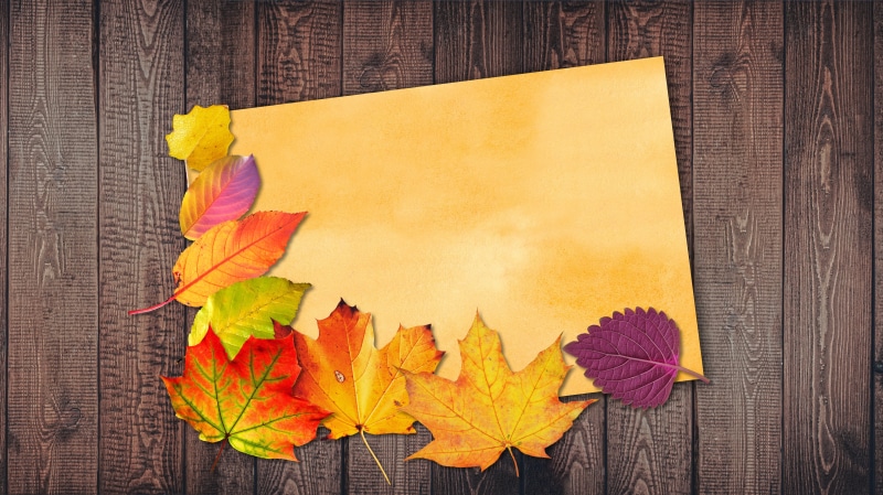 note, blank, maple leaf, golden autumn, illustration, colorful, textured effect, directly above, plant, wood - material, copy space, alder, message, textured