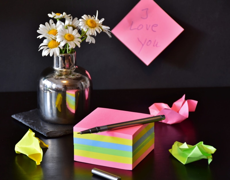 black background, vase, memo, glass - material, flower head, indoors, multi colored, freshness, nature, pink color, no people, office, feelings, paper