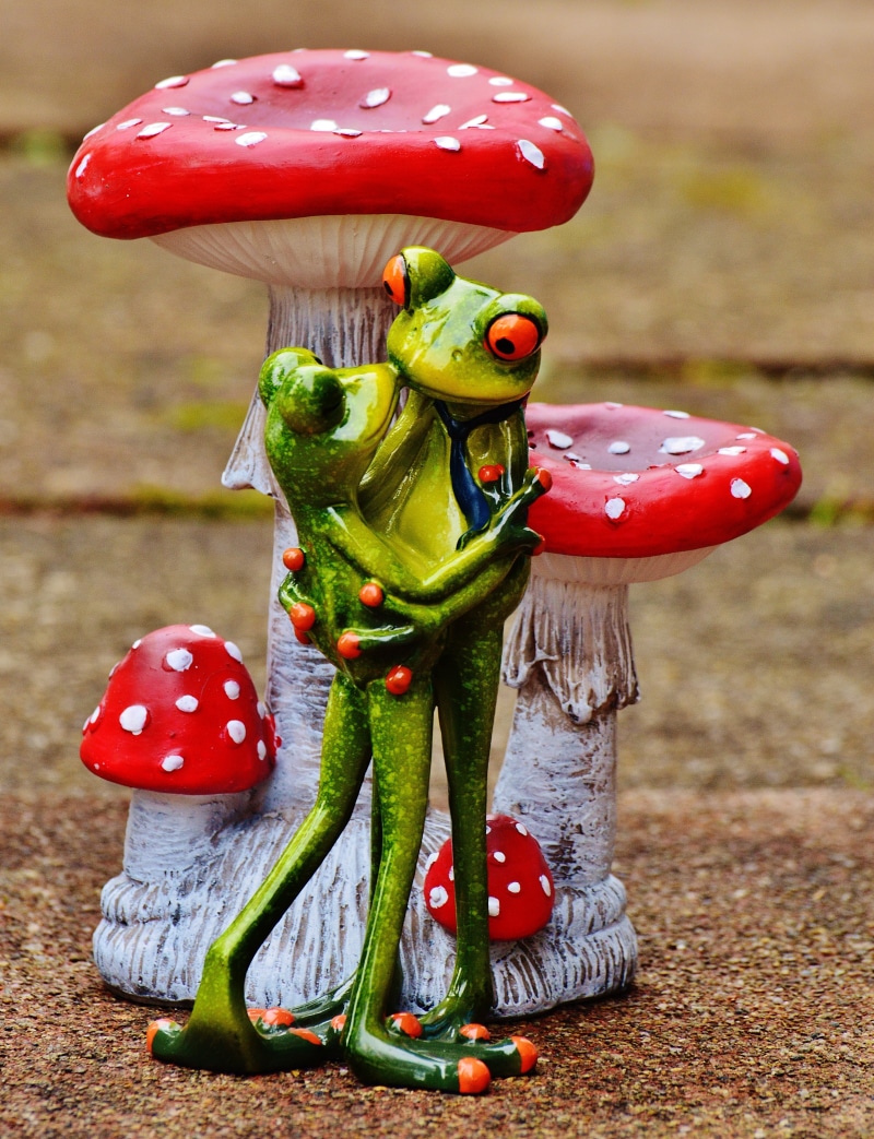 fungus, no people, cute, toadstool, valentines day, figure, toy, season, kiss, table, food and drink, fly agaric, embassy, pair, focus on foreground, red