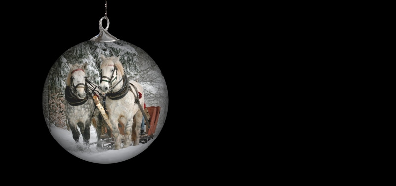 christmas eve, finance, christmas ornaments, christmas time, jewelry, team, winter, advent, the past, two, horses, print, candlelight, cut out, antique
