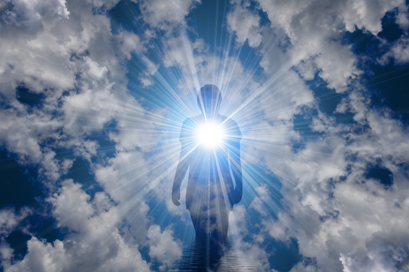 scenics - nature, low angle view, outdoors, cloud - sky, sunlight, sunbeam, day, light - natural phenomenon, no people, idyllic, directly below, rays, nature