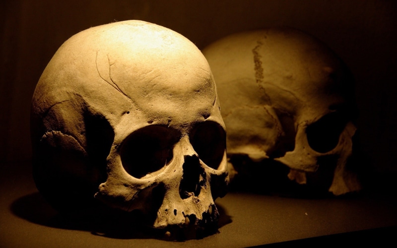 enlightened, 1080P, skull