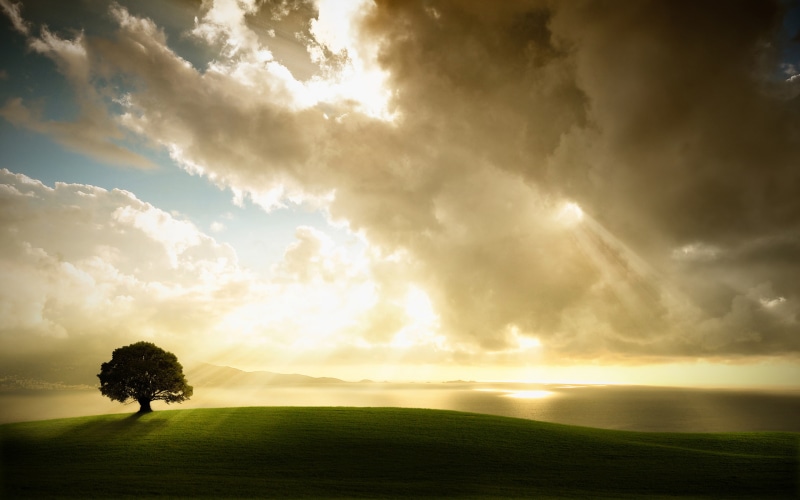 clouds, sky, nature, sunset, 2K, landscape, enlightenment, trees, digitalcomposition