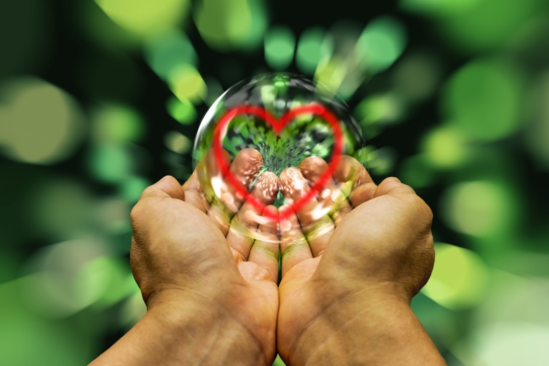 5K, rays, gesture, fragility, flowering plant, day, nature, focus on foreground, received on, hands, finger, energy, mothers day, personal perspective