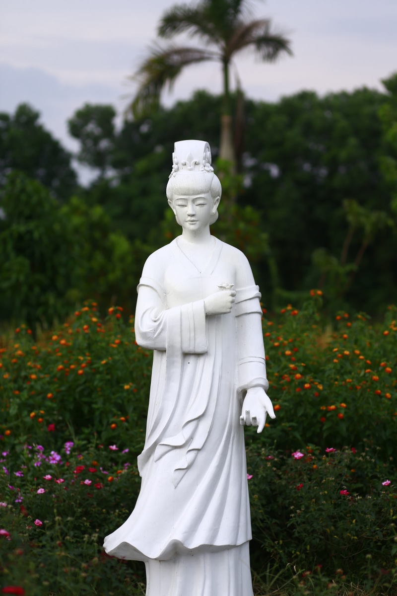 creativity, plant, focus on foreground, human representation, female likeness, tree, male likeness, 5K, flower, statue, no people, growth, representation