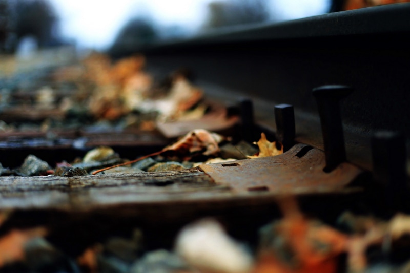macro, barbecue, food, fire - Natural Phenomenon, outdoors, 2K, garbage, coal, barbecue Grill, depth of field, obsolete, firewood, leaf, messy, close-up
