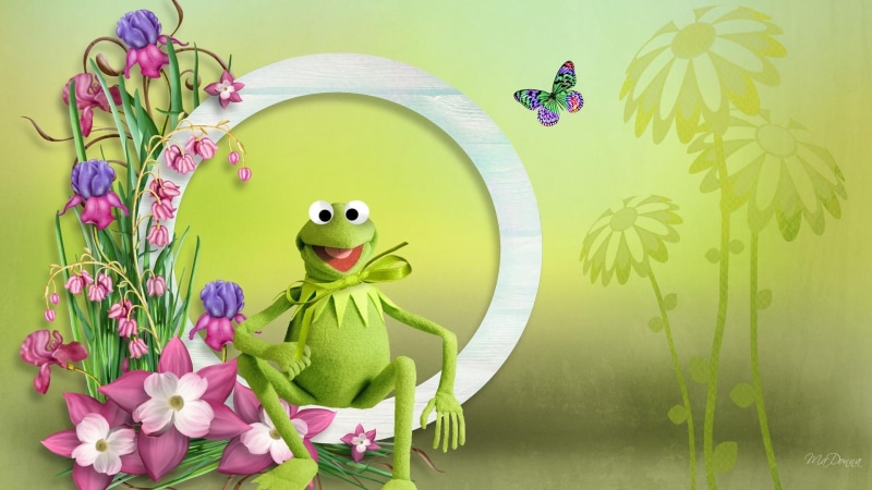 frog, flowers, green, 1080P, animals, trees, firefox persona, butterfly, summer, spring