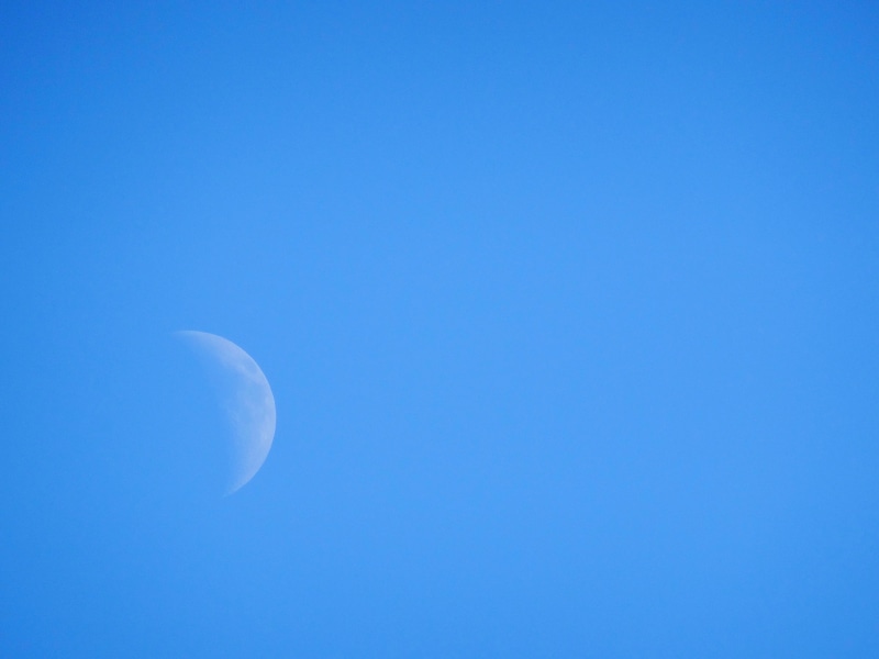 daytime, half, sky, blue background, space, photo, half moon, 5K, nature, scenics, beauty in nature, tranquil scene, clear sky, copy space, night, outdoors