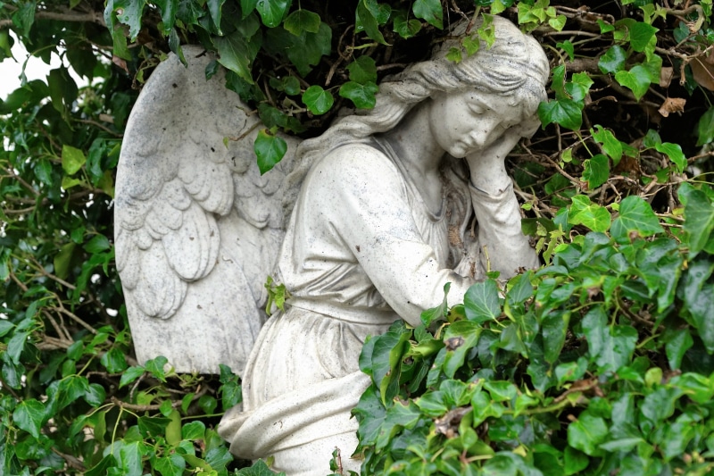 christian, growth, sculpture, plants, church, christmas eve, 5K, depression, wing, craft, female likeness, day, faith, shadow, live, mourning, light, christianity