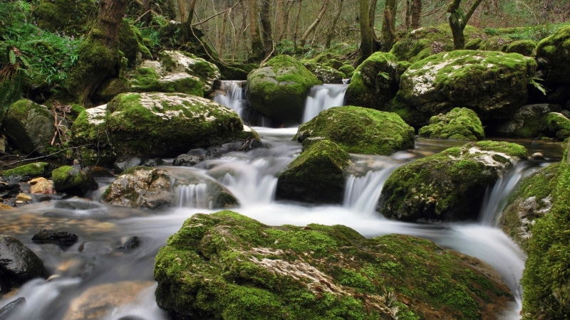long, exposure, rock, trees, nature, water, stream, moss, waterfall, 1080P, river, landscape, 1920x1080, long exposure