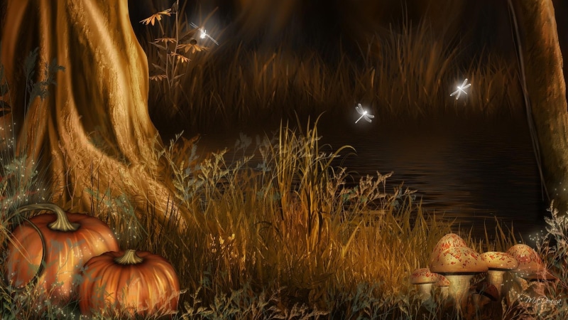 pumpkins, mushrooms, pond, harves, autum, grass, firefox persona, 1080P, forest, trees, toadstools, dragonflies, fall, autumn