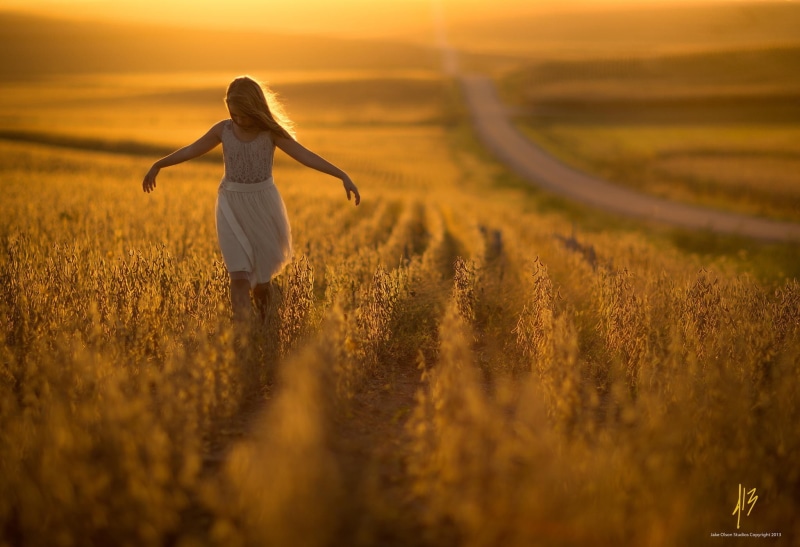 1080P, yellow, sunset, field, landscape, nature, jake, children, nebraska, olson, jake olson