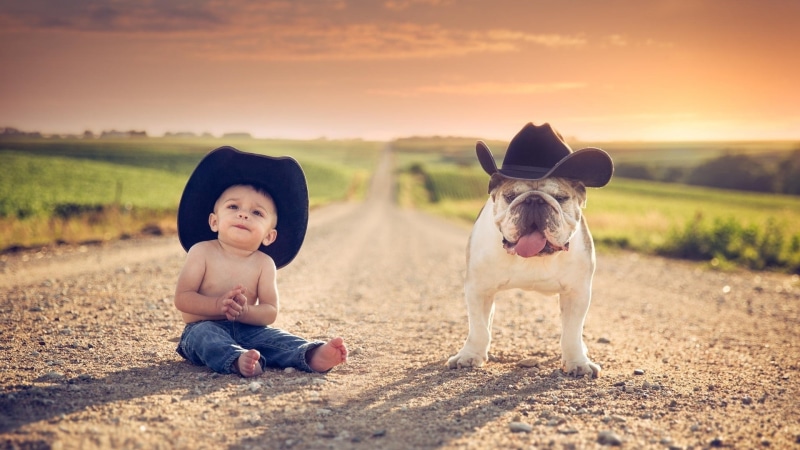 1080P, Jake Olson, cowboy hats, animals, Nebraska, children, dog, road