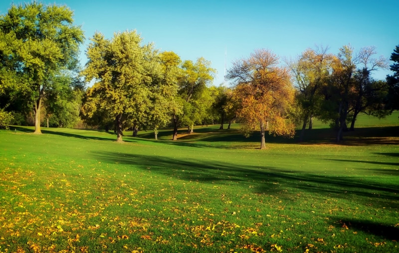 trees, nebraska, no people, omaha, land, day, golf, sunlight, green - golf course, golf course, field, scenics - nature, tranquility, autumn, green color