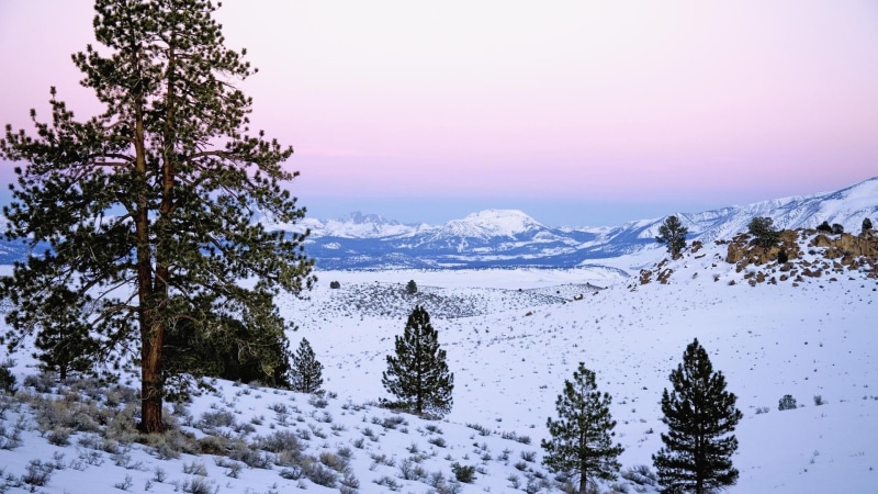 california, sierra nevada, nevada, nature, 1920x1080, photo, mountain, 1080P, sierra, field, snow