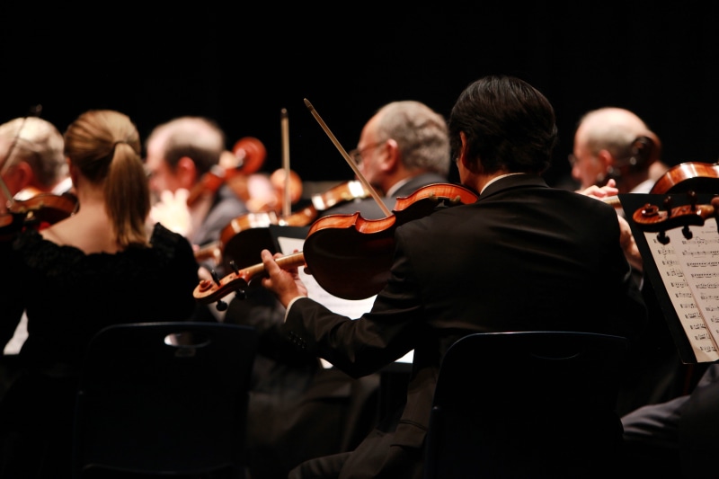 stage, women, performance, musical instrument, adults only, indoors, string instrument, mature men, skill, performing, orchestra, performing arts event