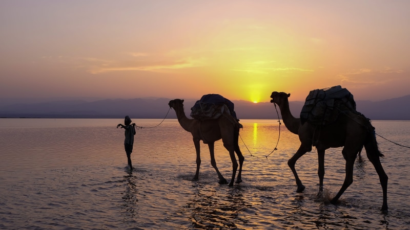sky, lac karum, beauty in nature, nature, beach, outdoors, sel, sunset, pets, water, silhouette, people, 4K, land, full length, desert, scenics - nature