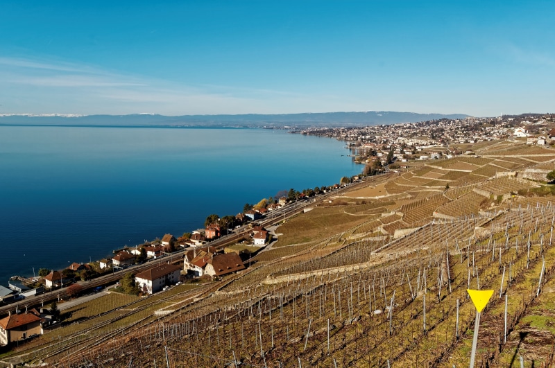idyllic, sea, sky, view, switzerland, vineyards, nature, outdoors, non-urban scene, high angle view, 2K, architecture, land, lake, tranquility, sunlight