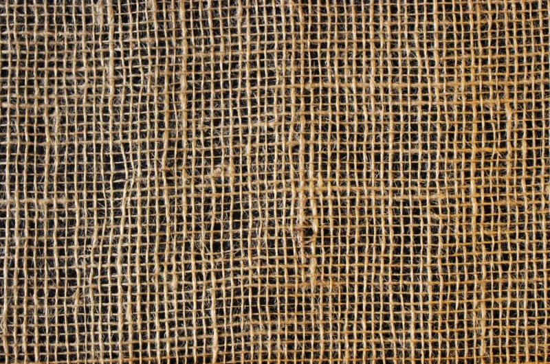 beige, backgrounds, no people, animal wildlife, mammal, design, texture, animals in the wild, natural, retro, textured, cat, repetition, sack, bag, animal