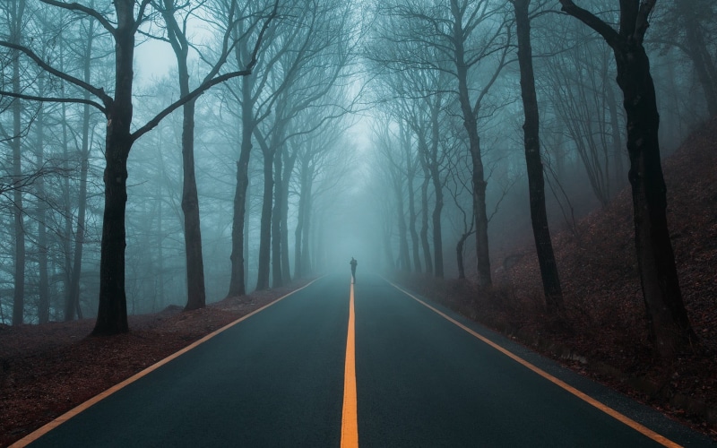 transportation, treelined, no people, diminishing perspective, road, mist, land, vanishing point, photographer, road marking, fog, the way forward, standing