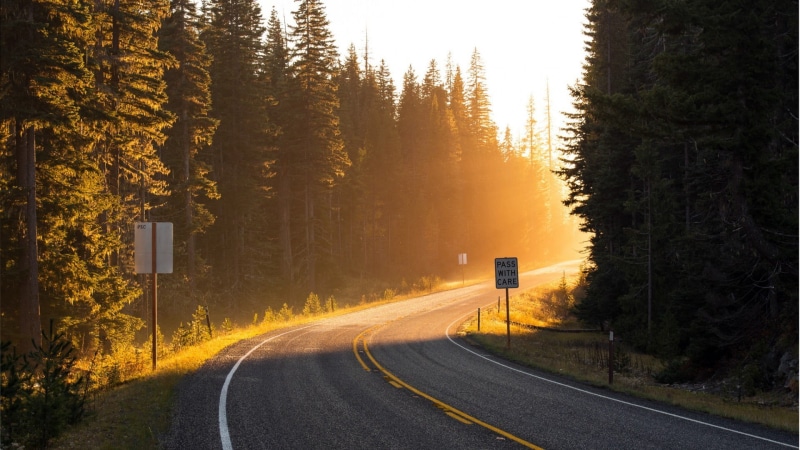 two, trees, direction, road, traffic signs, outdoors, sign, marking, road marking, land, dividing line, nature, sunlight, sunset, beauty in nature, transportation