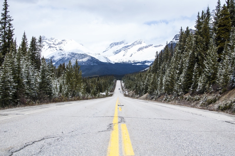 marking, diminishing perspective, nature, asphalt, direction, trees, no people, road marking, plant, mountain, outdoors, beauty in nature, symbol, sign