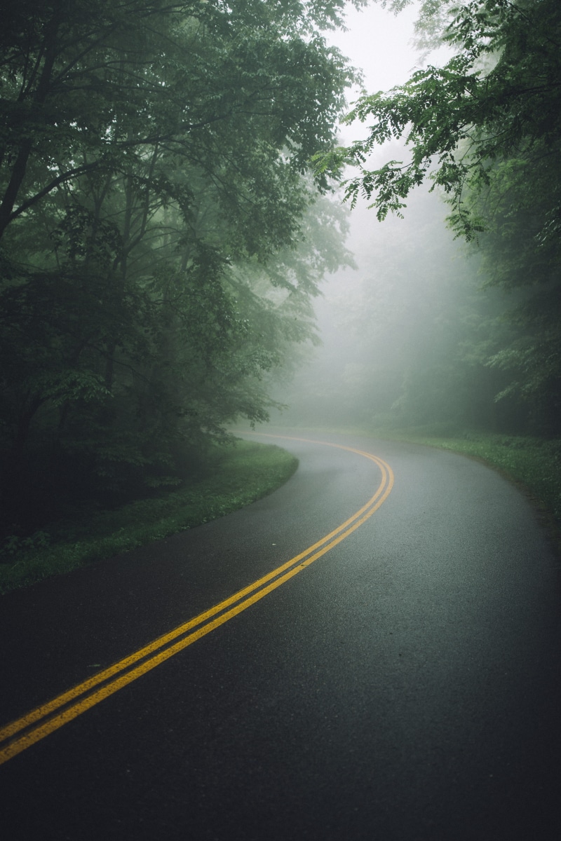 sign, photo, path, cold, dividing line, double yellow line, parkway, marking, beauty in nature, nature, rain, transportation, direction, road trip, concrete
