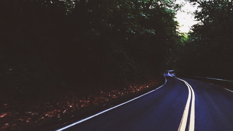 outdoors, no people, tree, filter, road marking, diminishing perspective, direction, day, double yellow line, road, growth, dividing line, transportation