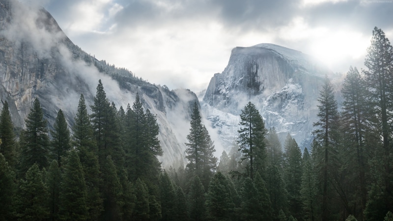 landscape, beauty in nature, nature, mountain, 4K, pine, no people, pine tree, evergreen tree, clouds, non-urban scene, scenics - nature, Yosemite National Park