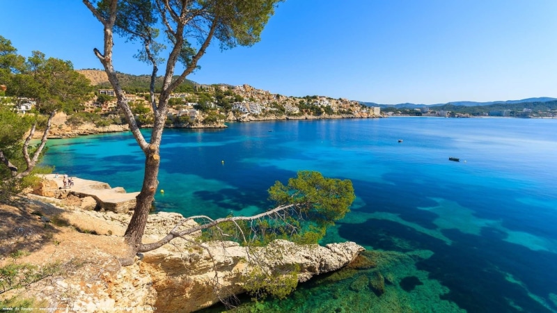 Tree, 1080P, Blue, Menorca, Palma, Spain, Houses, Coast, Sea