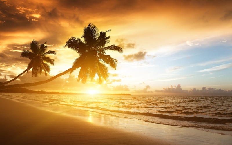 Sky, tree, Sea, Trees, Coast, sunset, Sunrise, 2K, Palm, seashore, Caribbean, Scenery, Clouds, Beautiful