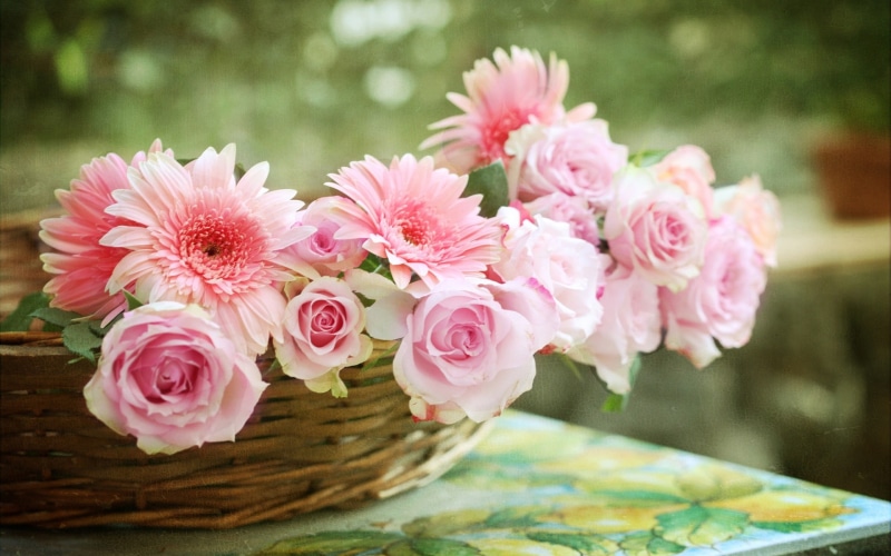 Daisies, 1080P, Gerbera, Pink, Basket, Rose