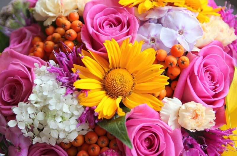 gift, purple, bunch of flowers, nature, fragility, flower Head, flower, cut Flowers, plant, gerbera, inflorescence, phlox, petal, no people, rose - Flower