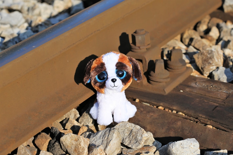 rock, give them a helping hand, looking at camera, horror education system, school stress, railway, 5K, talk with them, one animal, teddy bear waiting