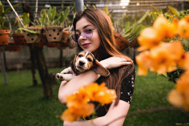 animals, teenager, plants, flowers, mammal, women outdoors, dress, beautiful woman, garden, Alice Sudos Photo, pet, plant, model, grass, hairstyle, domestic